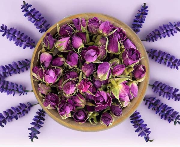 غنچه لاله زار خشک کوچک و ظریف برای تزئین